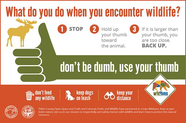 Rule of Thumb graphic