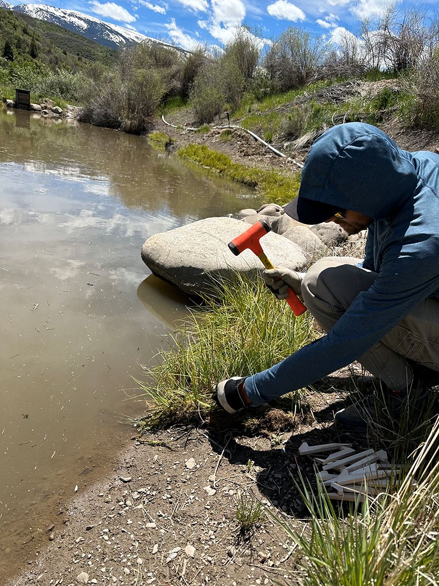 Wetand sod is installed along the edge of a Brush Creek Valley irrigation pond.