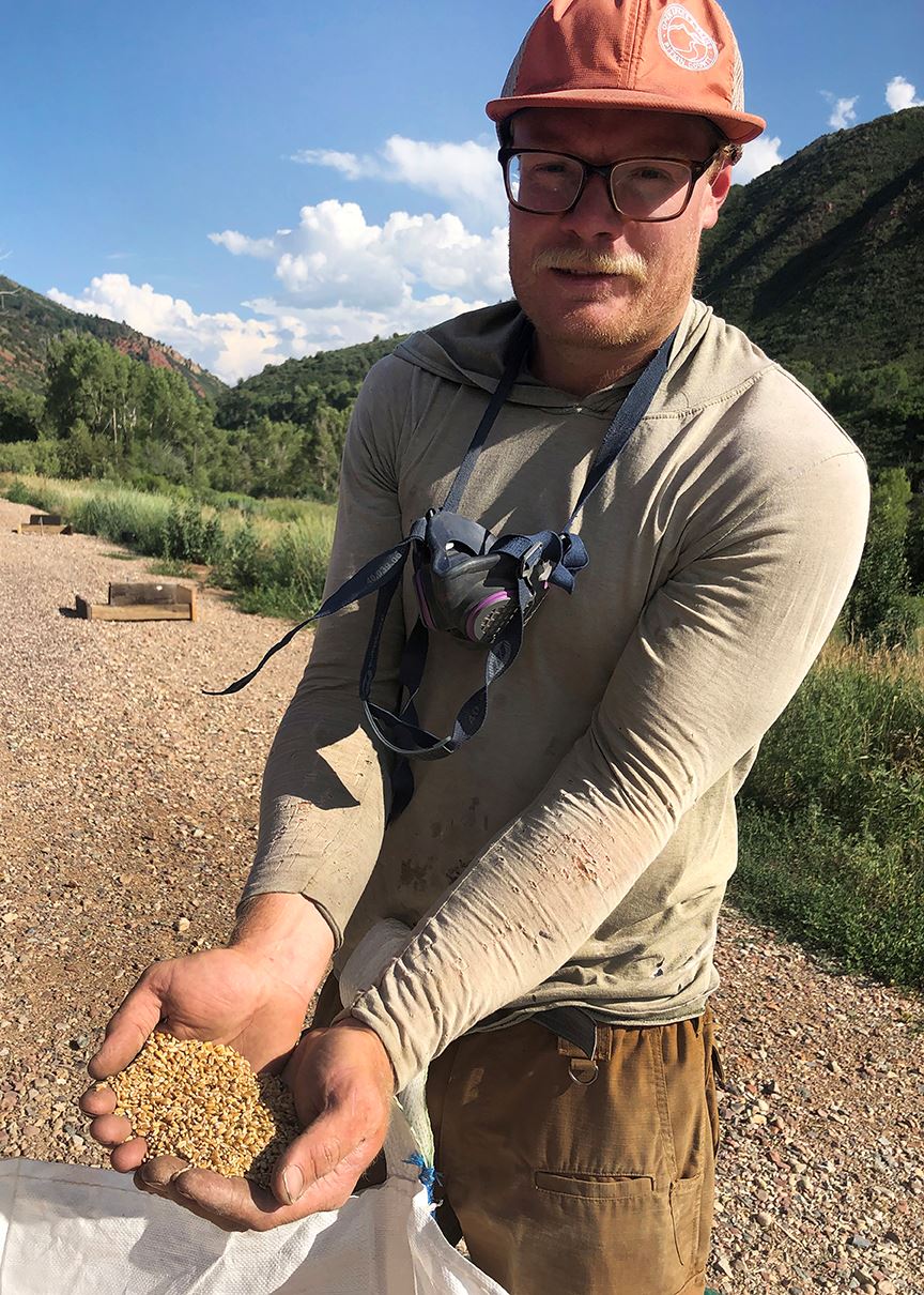 Cooper Means with his Rouge de Bordeaux wheat